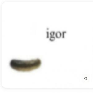 Игорь Симачков